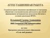 Аттестационная работа. Программа дополнительного образования «Село моё родное»