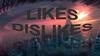 Likes Dislikes
