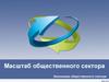 Масштаб общественного сектора. Экономика общественного сектора