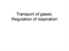 Transport of gases. Regulation of respiration