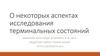 О некоторых аспектах исследования терминальных состояний