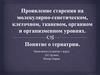 Проявление старения на молекулярно-генетическом, клеточном, тканевом, органном и организменном уровнях. Понятие о гериатрии