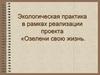 Экологическая практика в рамках реализации проекта «Озелени свою жизнь»