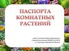 Паспорта комнатных растений