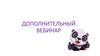 Дополнительный вебинар