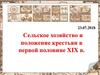 Сельское хозяйство и положение крестьян в первой половине XIX века