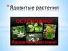 Ядовитые растения