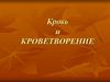 Кровь и кроветворение