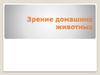 Зрение домашних животных