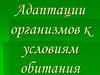 Адаптация организмов к условиям обитания