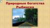 Природные богатства Рыбинска