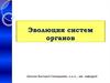 Эволюция систем органов
