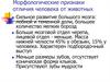 Морфологические признаки отличия человека от животных