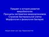 Принципы систематики микроорганизмов. Строение бактериальной клетки. Морфология и физиология бактерий