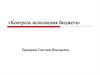 Контроль исполнения бюджета