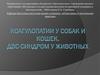 Коагулопатии у собак и кошек. ДВС-синдром у животных