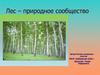 Лес – природное сообщество