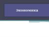 Экономика. Субъекты экономических отношений