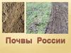 Почвы России