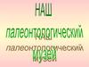 Наш палеонтологический музей