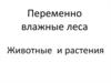 Переменно влажные леса. Животные и растения