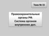 Правоохранительные органы РФ. Система органов внутренних дел