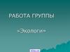Работа группы «Экологи». Зона лесов России