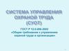 Система управления охраной труда (СУОТ). Общие требования к управлению охраной труда в организации