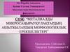 Металиалды микросаңырауқұлақтардың ашытқылардың морфологиялық ерекшеліктері