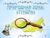 Тундра. Растительный и животный мир тундры