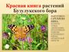 Красная книга растений Бузулукского бора