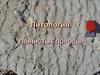Литология. Глинистые породы