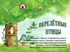 Перелетные птицы