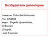 Возбудители дизентерии
