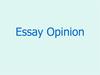 Essay Opinion