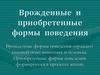 Врожденные и приобретенные формы поведения