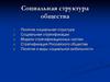 Социальная структура общества
