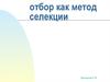 Отбор как метод селекции