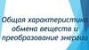 Общая характеристика обмена веществ и преобразование энергии