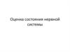 Оценка состояния нервной системы