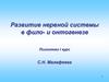 Развитие нервной системы в фило- и онтогенезе