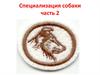 Специализация собаки. Часть 2