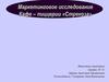 Маркетинговое исследование. Кафе-пиццерия «Стрекоза»