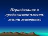 Периодизация и продолжительность жизни животных