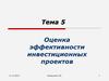 Оценка эффективности инвестиционных проектов
