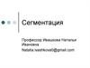 Сегментация. Маркетинговая стратегия на рынке продукта