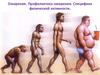 Ожирение. Профилактика ожирения. Специфика физической активности