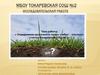 Определение кислотности почвы учебно-опытного участка Токаревской СОШ № 2