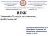 Тістердің патологиялық қажалуының емі