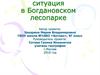 Экологическая ситуация в Богдановском лесопарке